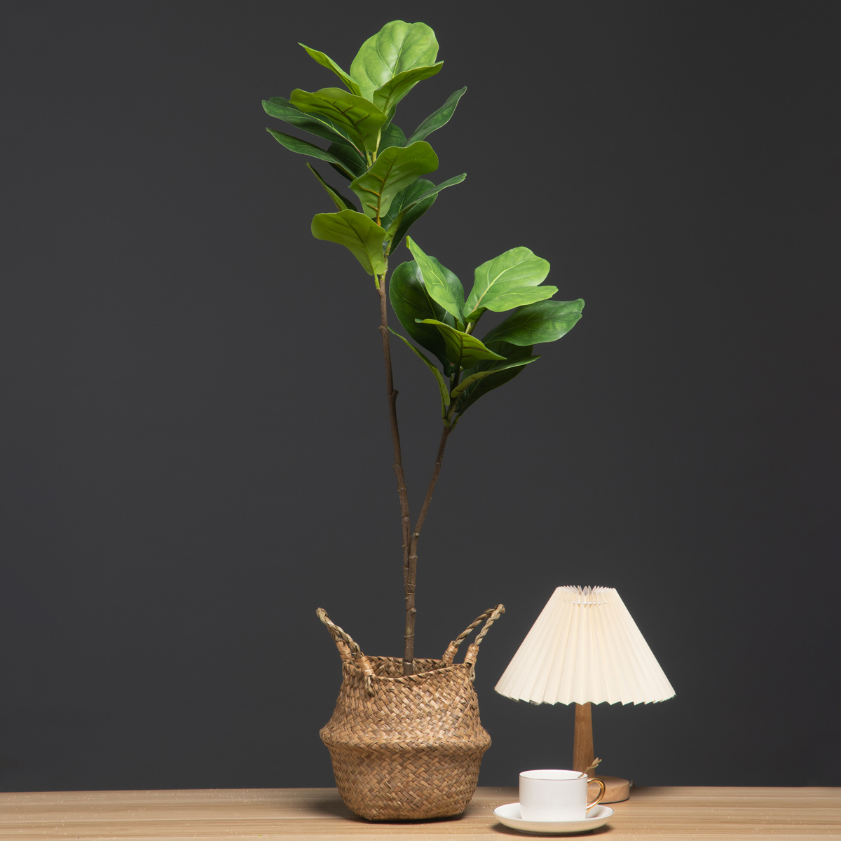 Rubber Plant Ficus - 103 cm/132 cm Ramo di albero