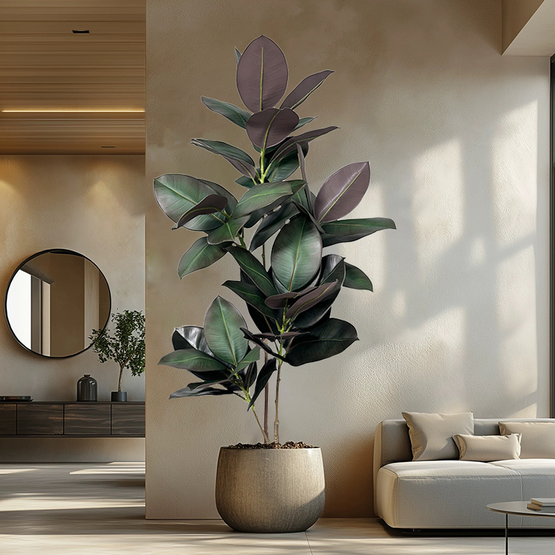 Rubber Plant Ficus - Albero di Ficus Artificiale 70-150cm, Piante
