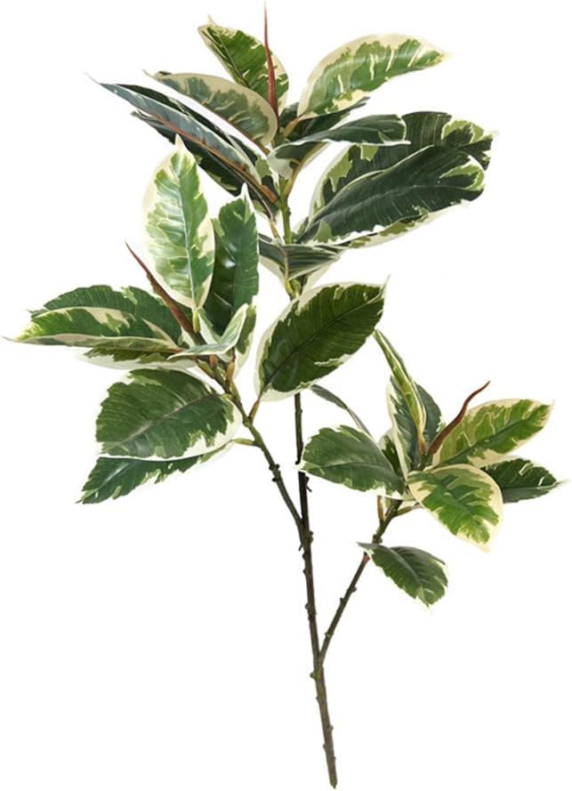 Rubber Plant Ficus - Pianta artificiale Ficus Tineke 31