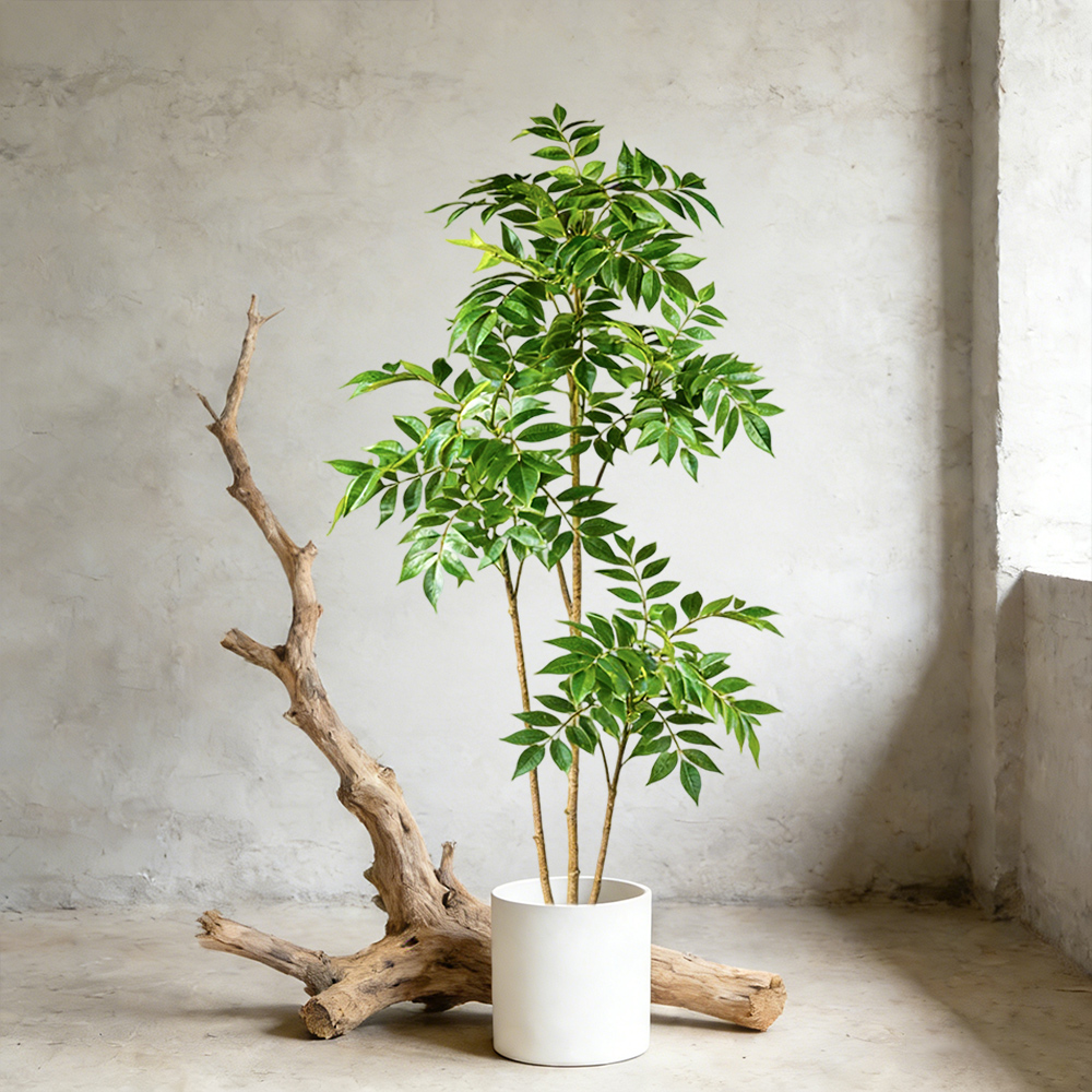 Rubber Plant Ficus - Albero di gomma artificiale da 76-140