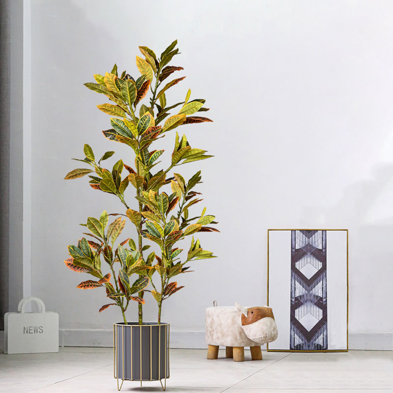 Rubber Plant Ficus - 120 centimetri Grande Falso Ficus Albero