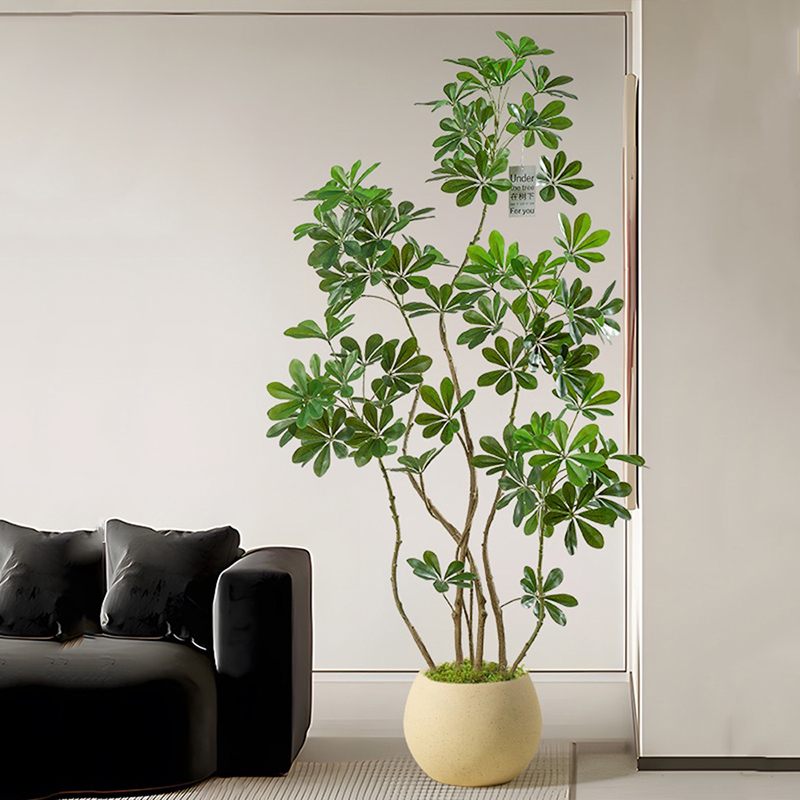 Rubber Plant Ficus - 31-74in grande albero di Ficus artificiale