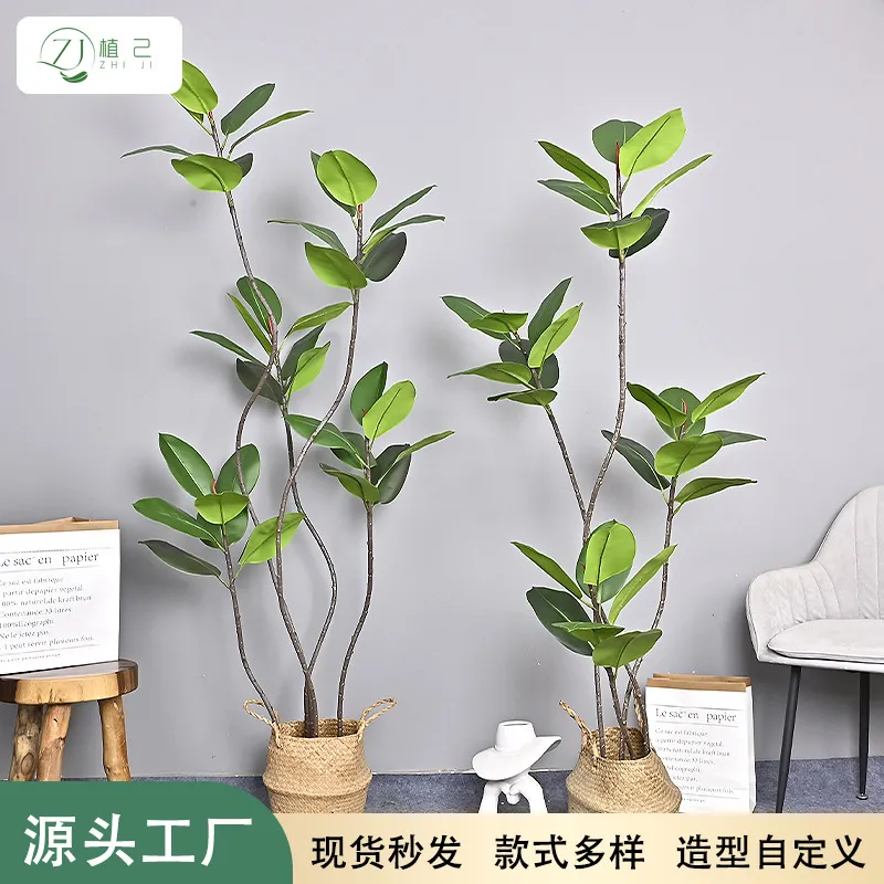 Rubber Plant Ficus - Pianta Artificiale di Ficus Elastica Nera
