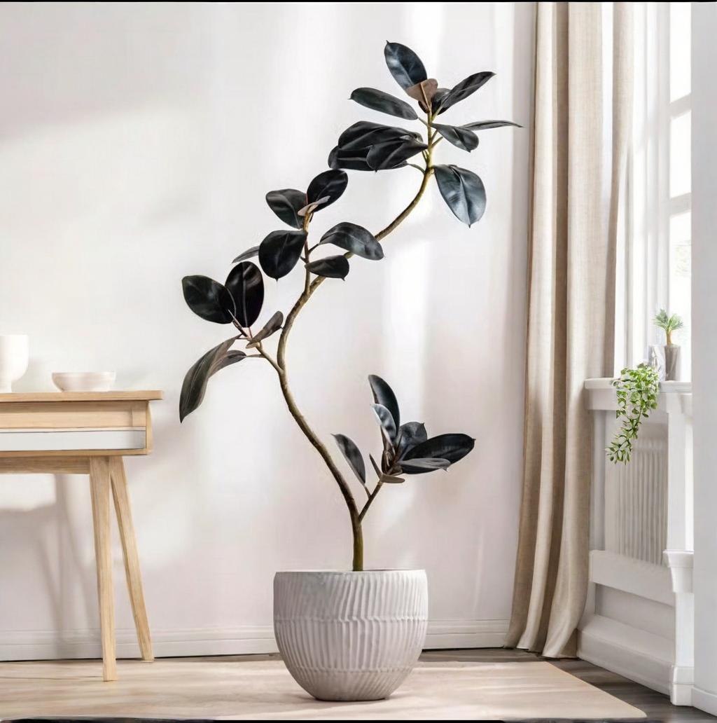 Rubber Plant Ficus - Pianta in vaso di plastica artificiale