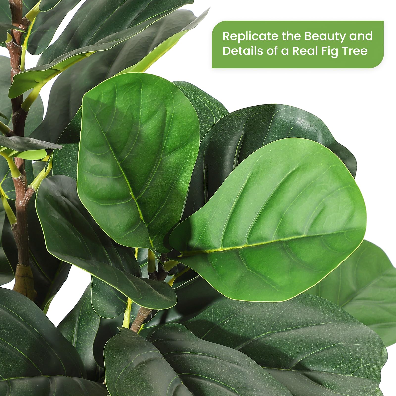 Ficus Lyrata Artificiale con V - Rubber Plant Ficus recensione e prezzo
