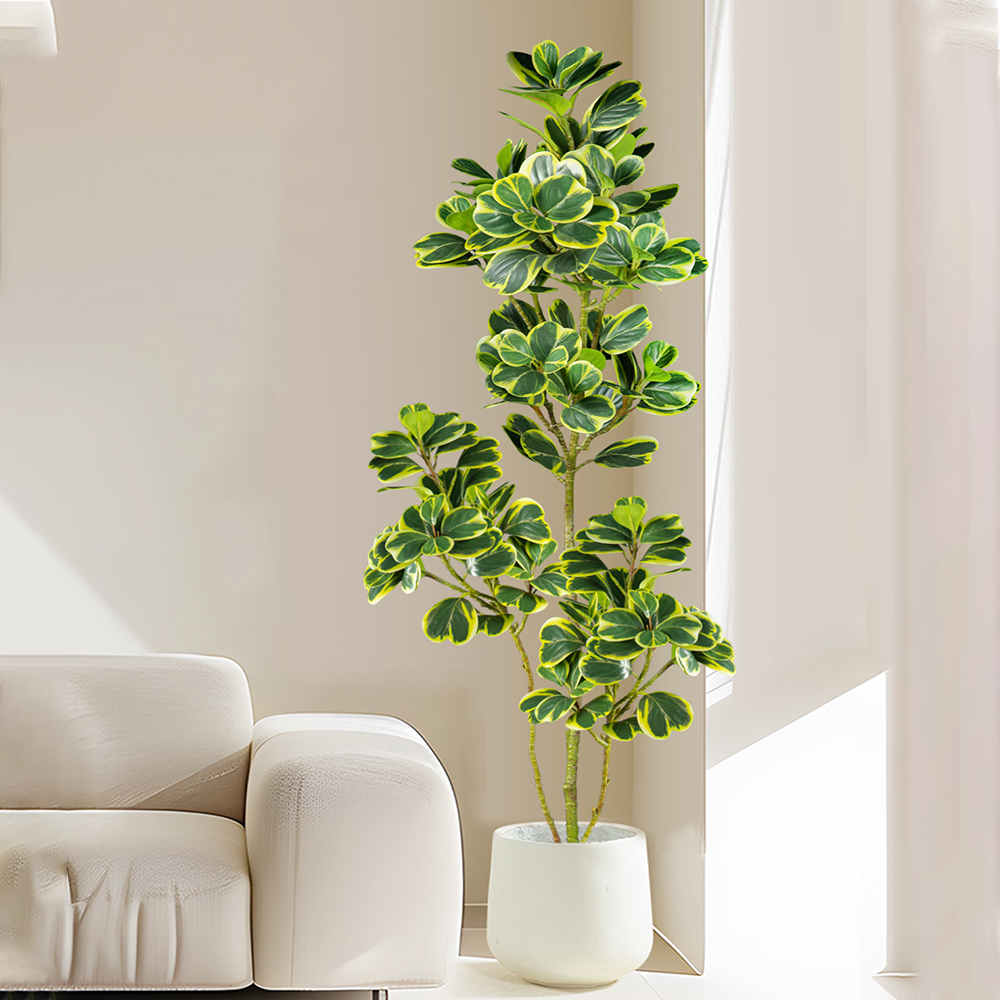 76 cm/115 cm Albero Ficus Arti - Rubber Plant Ficus recensione e prezzo