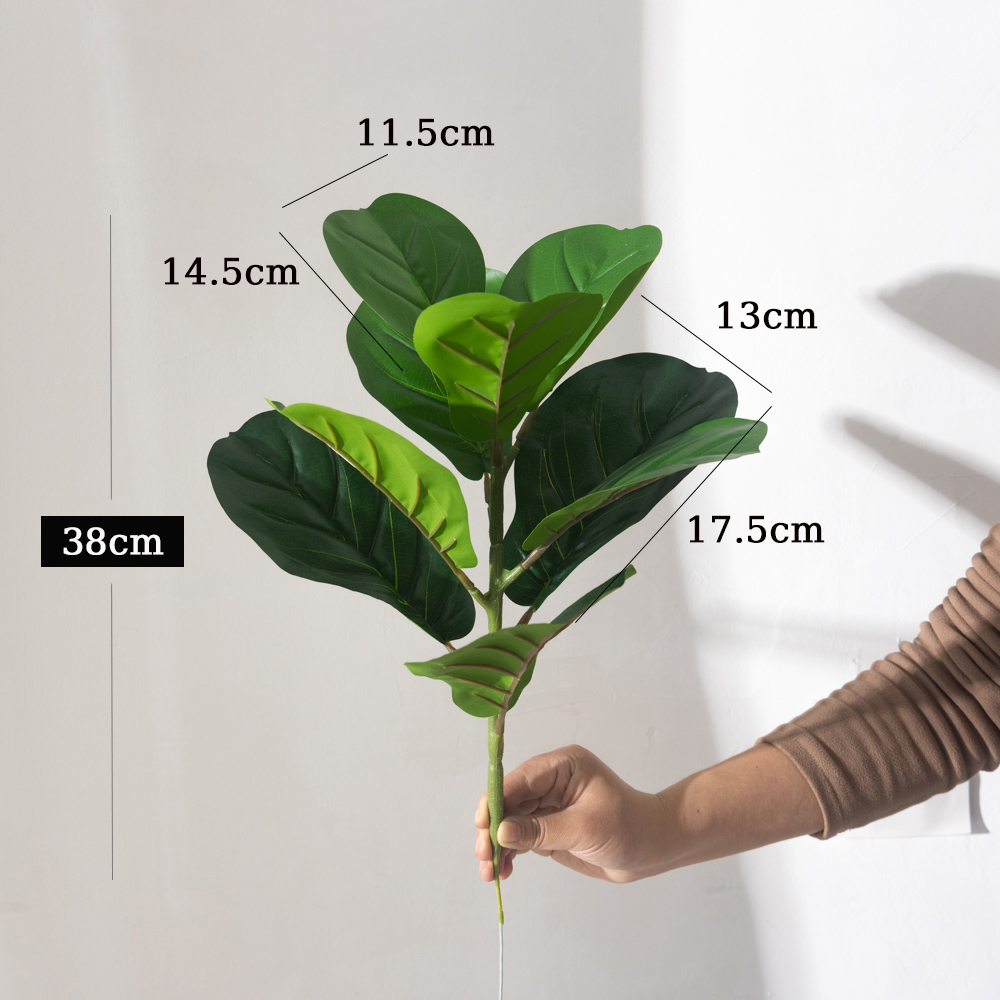 38 centimetri 9 Forchette Pian - Rubber Plant Ficus recensione e prezzo