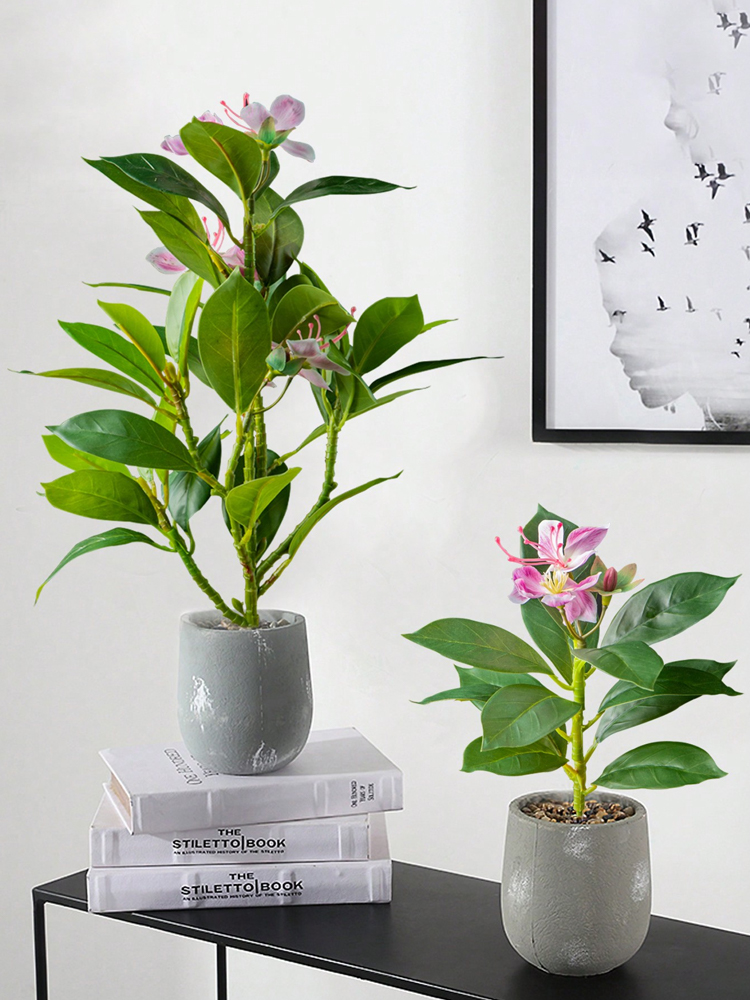 Piante Azaleas artificiali da  - Rubber Plant Ficus recensione e prezzo