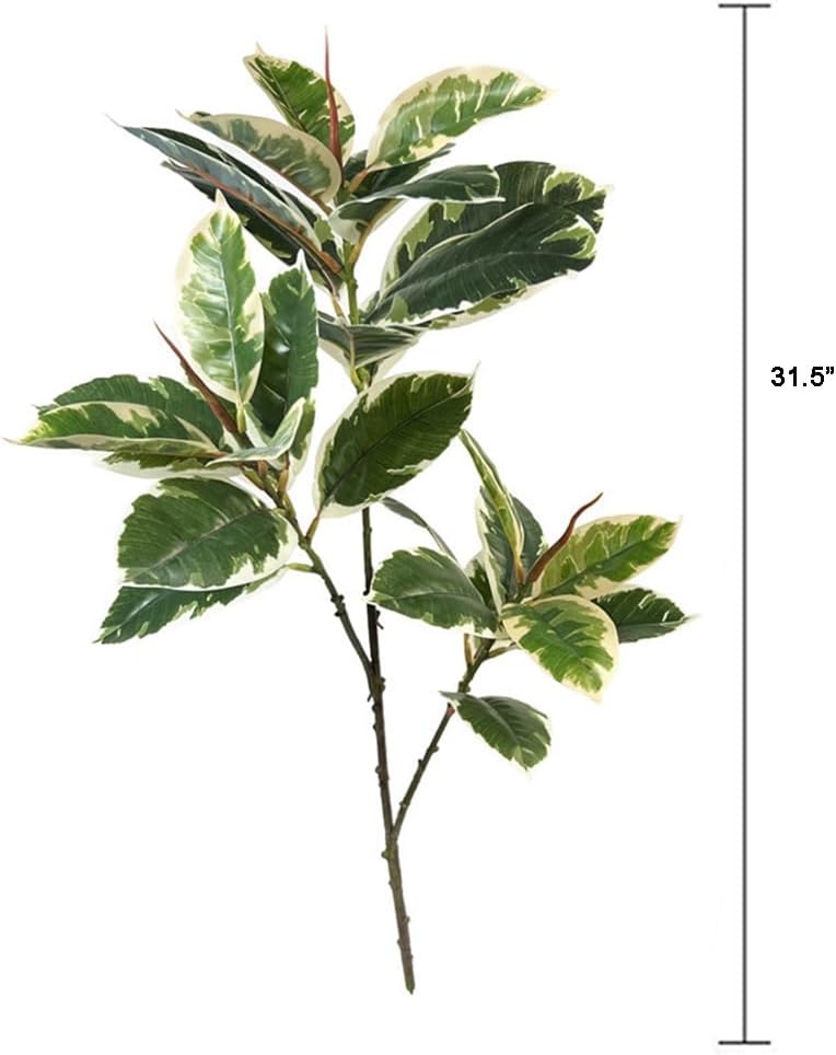Pianta artificiale Ficus Tinek - Rubber Plant Ficus recensione e prezzo