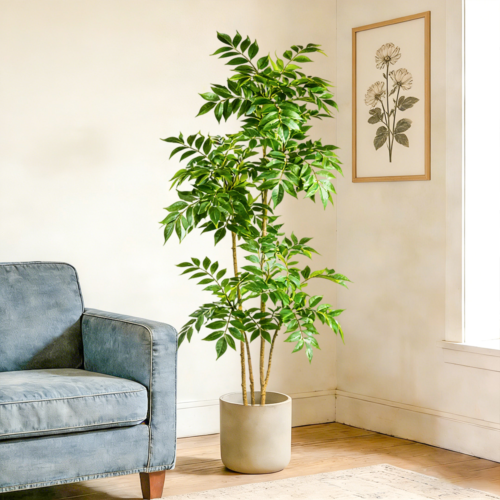 Albero di gomma artificiale da - Rubber Plant Ficus recensione e prezzo