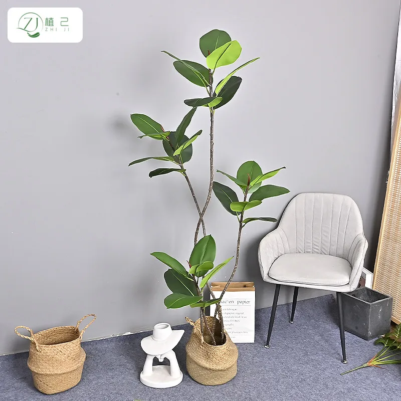 Pianta Artificiale di Ficus El - Rubber Plant Ficus recensione e prezzo