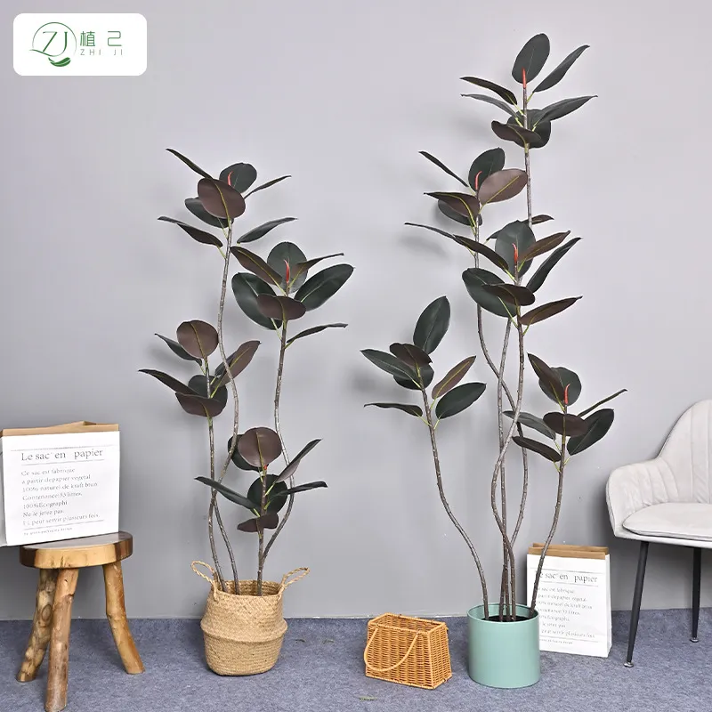 Pianta Artificiale di Ficus El - Rubber Plant Ficus recensione e prezzo