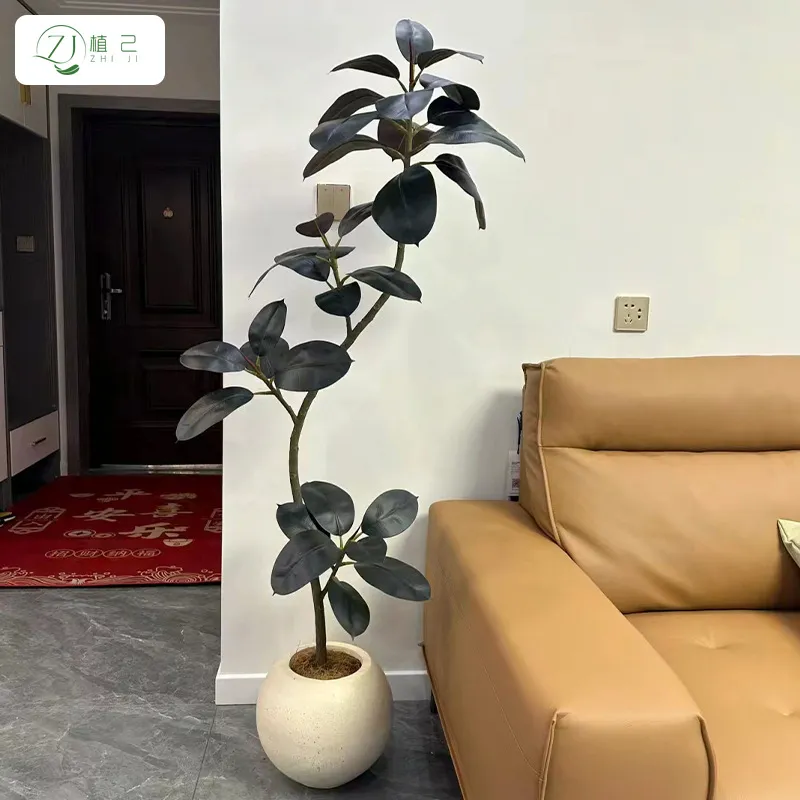 Pianta Artificiale di Ficus El - Rubber Plant Ficus recensione e prezzo