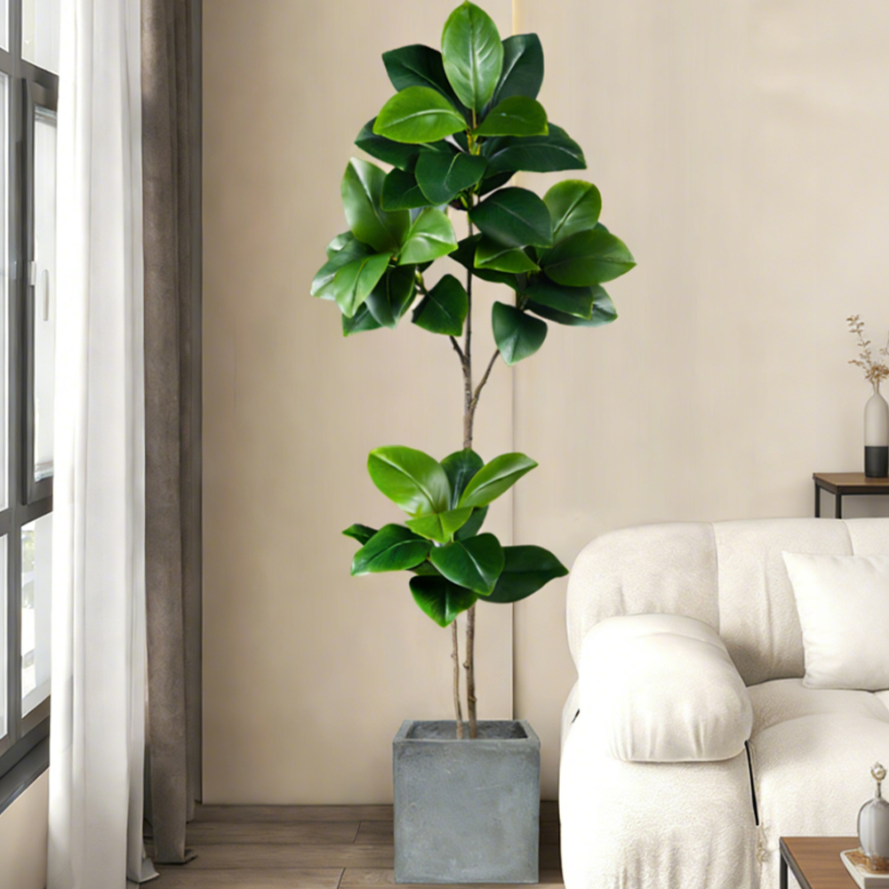 Albero di gomma artificiale da - Rubber Plant Ficus recensione e prezzo