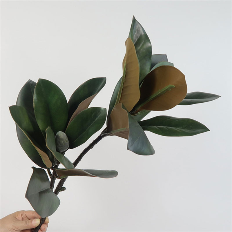 82 cm Grandi Piante Artificial - Rubber Plant Ficus recensione e prezzo