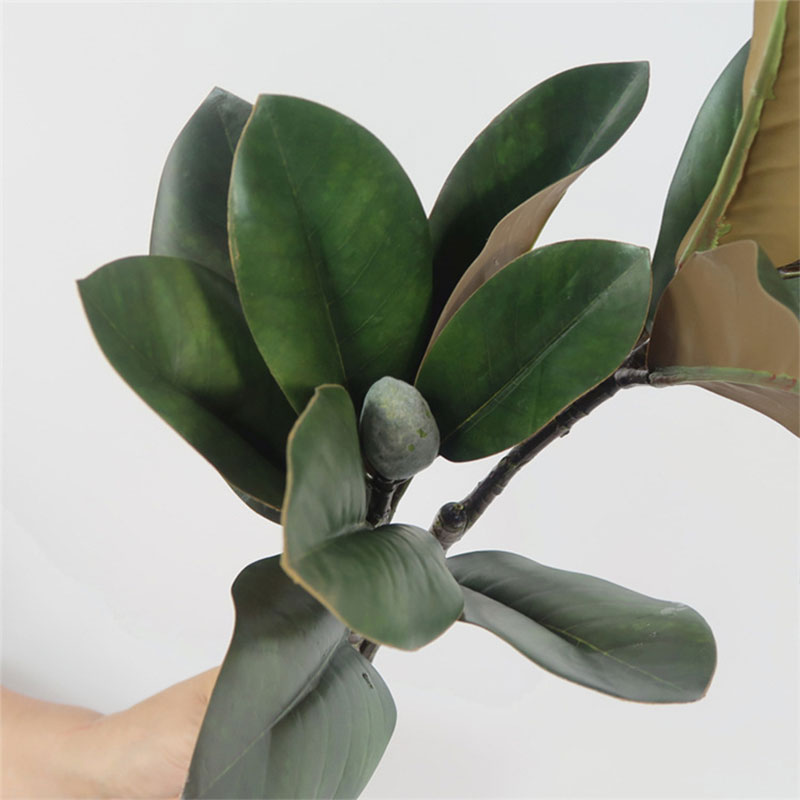82 cm Grandi Piante Artificial - Rubber Plant Ficus recensione e prezzo
