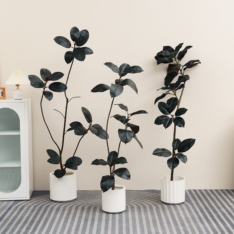 Pianta in vaso di plastica art - Rubber Plant Ficus recensione e prezzo