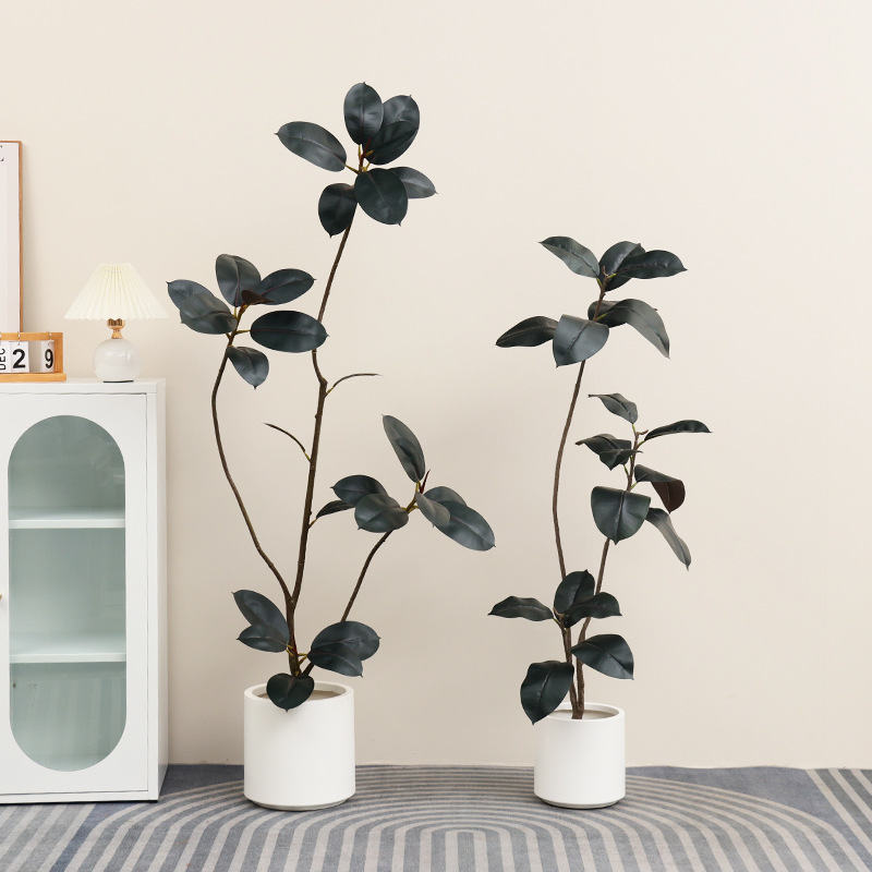 Pianta in vaso di plastica art - Rubber Plant Ficus recensione e prezzo