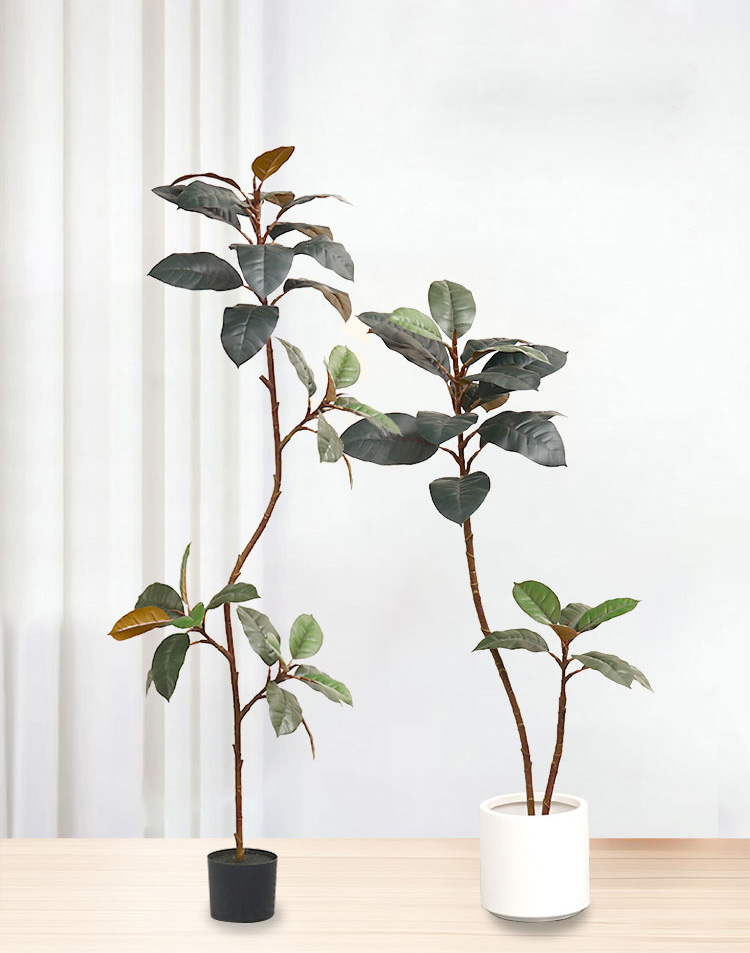 Pianta in vaso di plastica art - Rubber Plant Ficus recensione e prezzo
