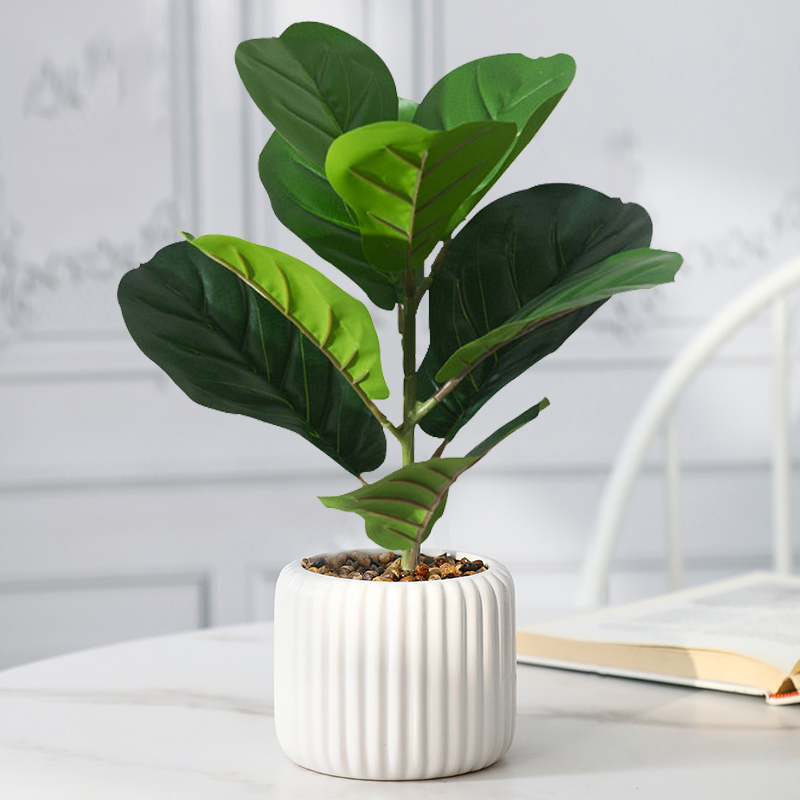 38 centimetri Falso Ficus Albe - Rubber Plant Ficus recensione e prezzo