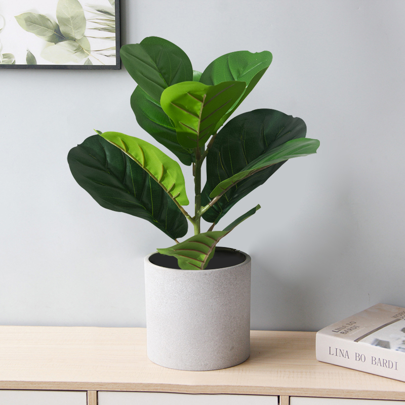 38 centimetri Falso Ficus Albe - Rubber Plant Ficus recensione e prezzo