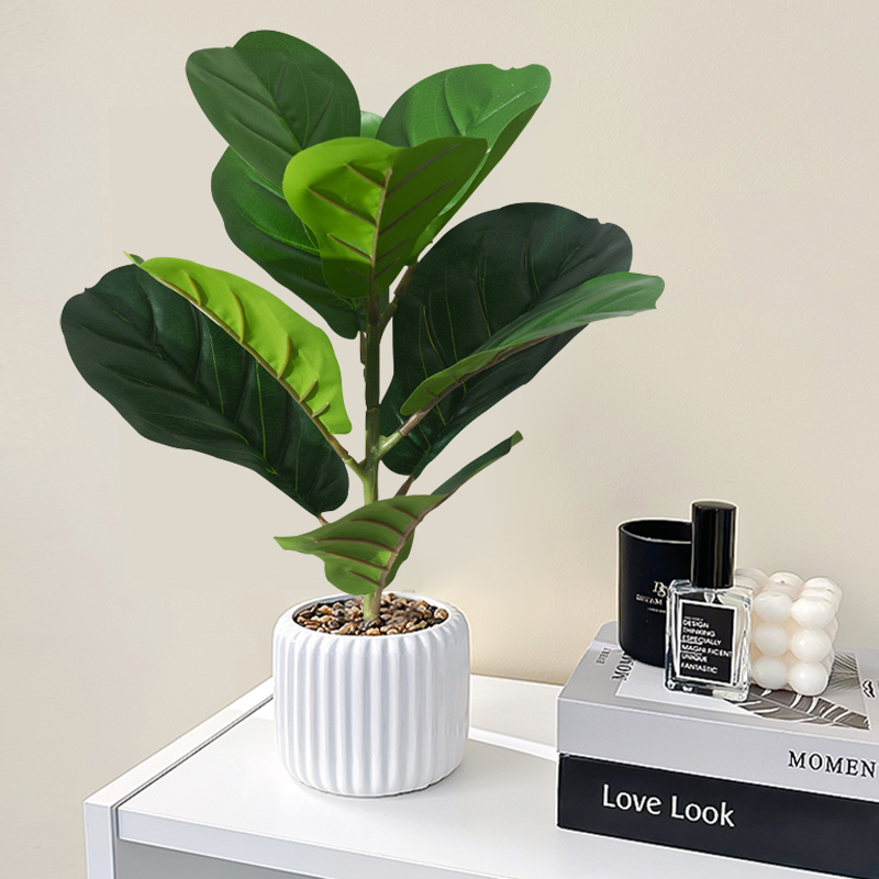 38 centimetri Falso Ficus Albe - Rubber Plant Ficus recensione e prezzo