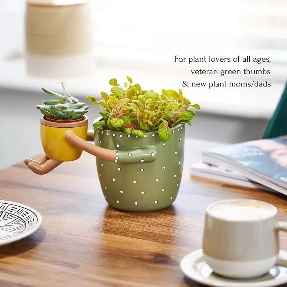 Vaso per Piante Succulente Dec - Plant Parental recensione e prezzo
